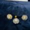 Earrings That Shin