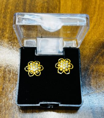 Bold & Beautiful Silver Stone Fashion Earrings
