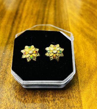 Glow in Gold – Stylish Earrings for a Dazzling Look