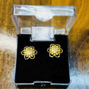 Bold & Beautiful Silver Stone Fashion Earrings